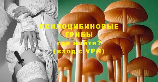 бошки Арсеньев