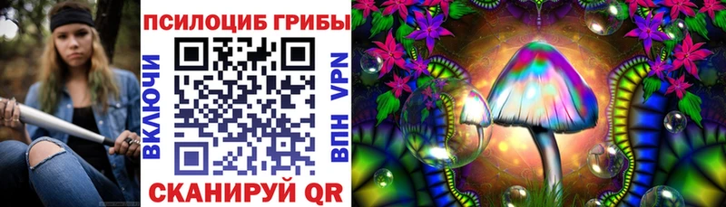 Галлюциногенные грибы Psilocybe  Купить где  Тверь 
